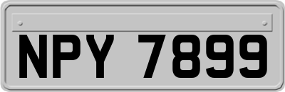NPY7899