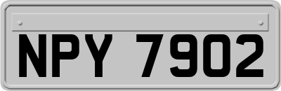 NPY7902