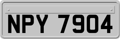 NPY7904