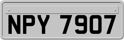 NPY7907