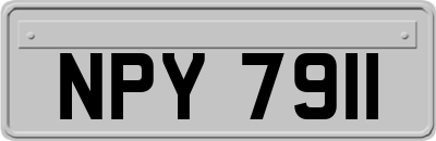 NPY7911