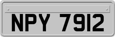 NPY7912
