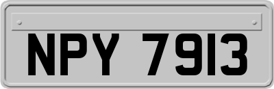 NPY7913