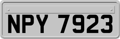 NPY7923