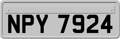 NPY7924