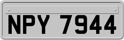 NPY7944