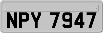 NPY7947