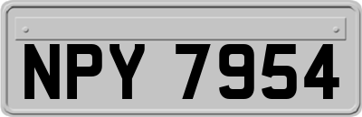 NPY7954