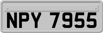 NPY7955