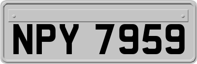 NPY7959