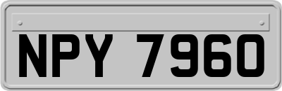 NPY7960