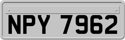 NPY7962