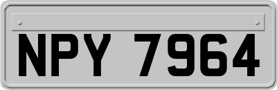 NPY7964