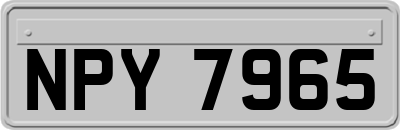 NPY7965