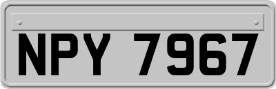 NPY7967