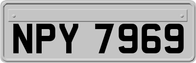 NPY7969
