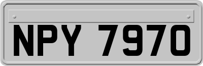 NPY7970