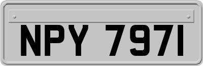 NPY7971
