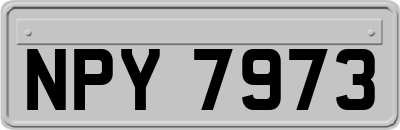 NPY7973