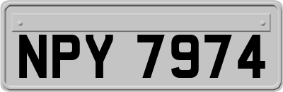 NPY7974