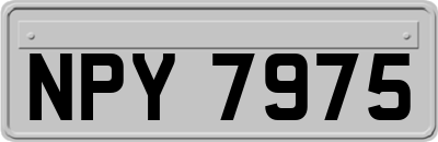 NPY7975