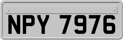 NPY7976