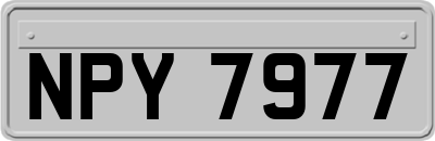 NPY7977