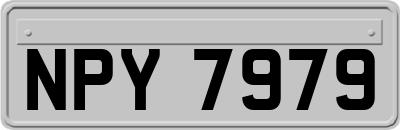 NPY7979
