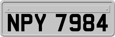 NPY7984