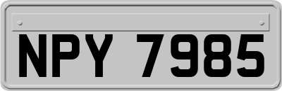 NPY7985