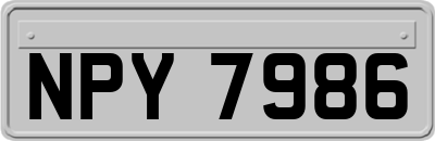 NPY7986