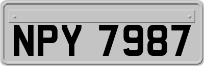 NPY7987