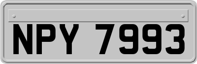 NPY7993