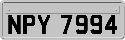 NPY7994