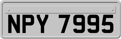 NPY7995