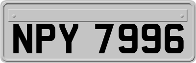 NPY7996