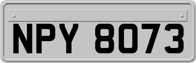 NPY8073