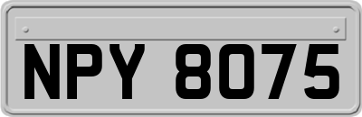 NPY8075