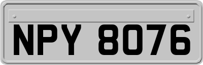NPY8076