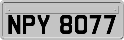 NPY8077