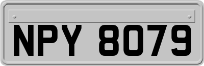 NPY8079