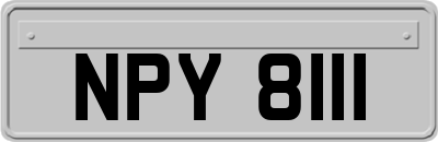 NPY8111