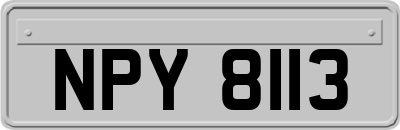 NPY8113