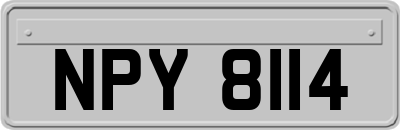 NPY8114