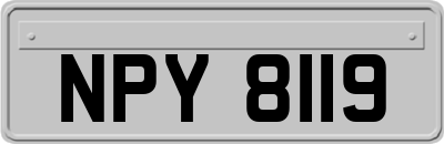 NPY8119