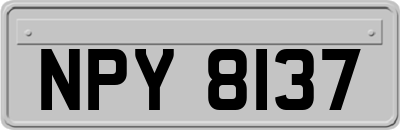 NPY8137