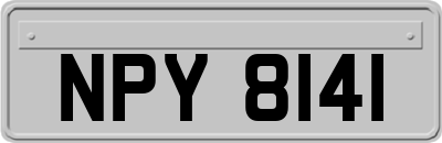 NPY8141