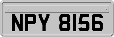 NPY8156