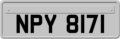 NPY8171