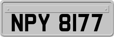 NPY8177